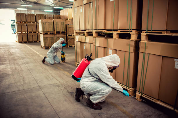 Best Mosquito Control Services  in Monsey, NY