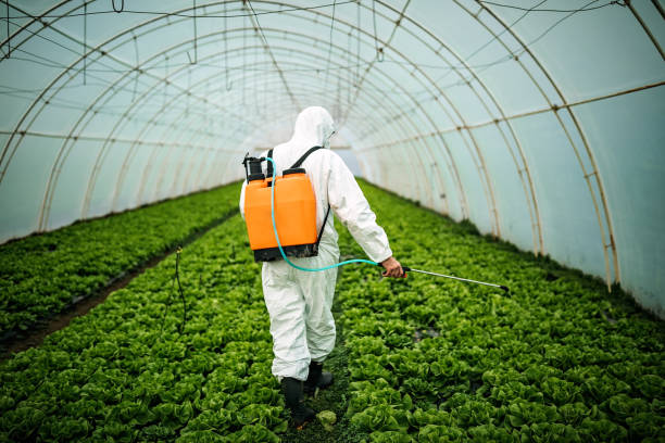 Best Pest Removal Services  in Monsey, NY