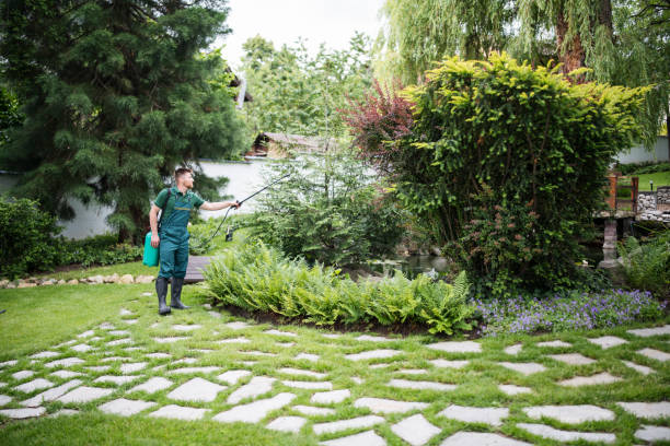 Best Best Pest Control Companies  in Monsey, NY