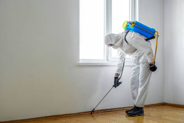 Best Mosquito Control Services  in Monsey, NY