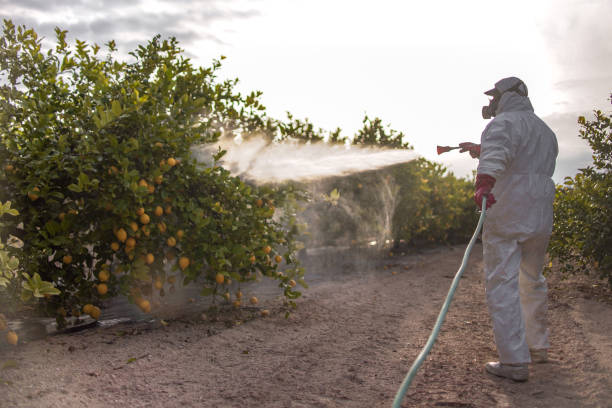 Best Cockroach Control Services  in Monsey, NY