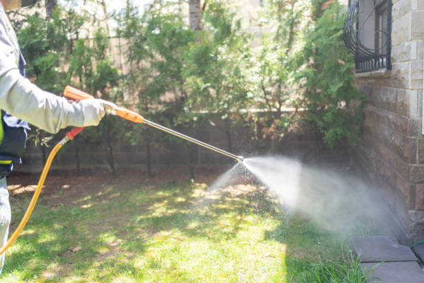 Best Best Pest Control Companies  in Monsey, NY