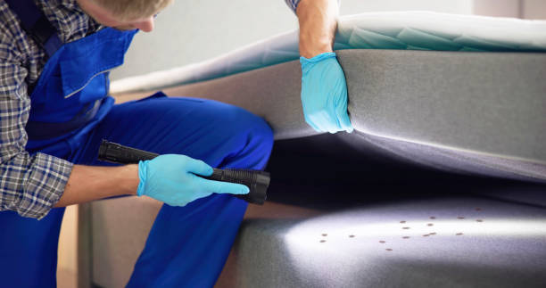 Reliable Monsey, NY Pest Control Solutions